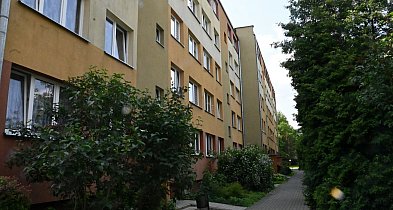 Syn umarł, matka... skonała z głodu [Czytaj w gazecie]-222987