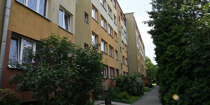 Syn umarł, matka... skonała z głodu [Czytaj w gazecie]
