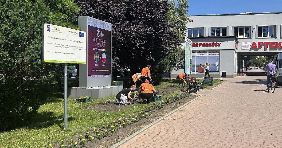Tarnobrzeg rozkwita - ruszyła druga tura nasadzeń kwiatów