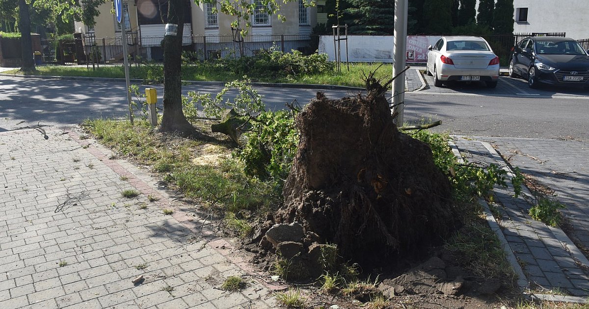 Skutki burzy w Tarnobrzegu i powiecie [ZDJĘCIA]