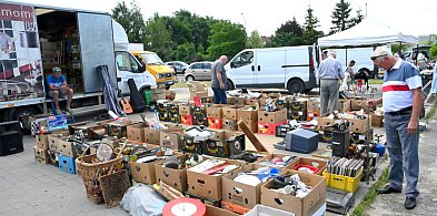 Czerwcowy Pchli Targ w Tarnobrzegu pełen okazji i ciekawostek [ZDJĘCIA]-223439