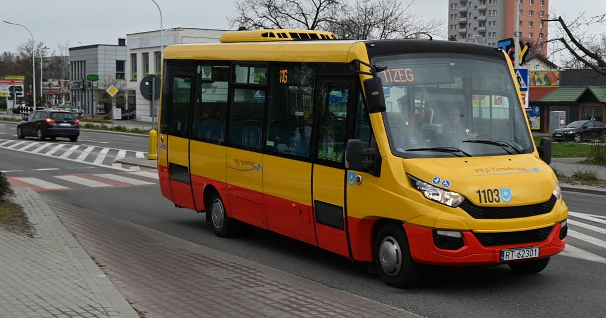 Z Sandomierza nad Jezioro Tarnobrzeskie  "wakacyjną 11". Autobus już kursuje