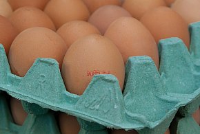 Salmonella na jajach znanej marki. Nie jedz, jeśli masz je w lodówce!-223485