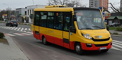 Z Sandomierza nad Jezioro Tarnobrzeskie  "wakacyjną 11"   -223476