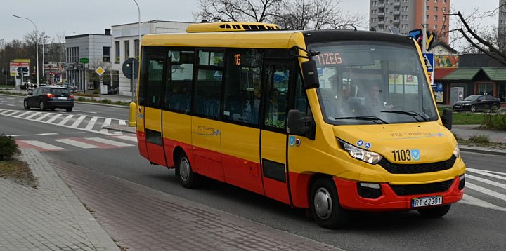 "Wakacyjna 11" już kursuje  -223476