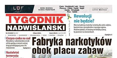 Kup elektroniczne wydanie Tygodnika Nadwiślańskiego [SKLEP]-201515