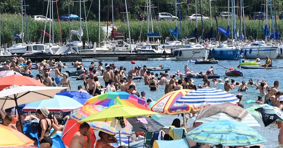 Rekordowa niedziela nad Jeziorem Tarnobrzeskim. Na plażach zabrakło miejsca, przed wjazdem tworzyły się kilometrowe korki [FOTO]