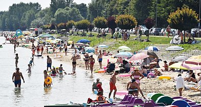 Grillowy problem nad jeziorem [Czytaj w gazecie]-223758