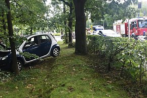Zderzenie aut w centrum Tarnobrzega [ZDJĘCIA]-223894