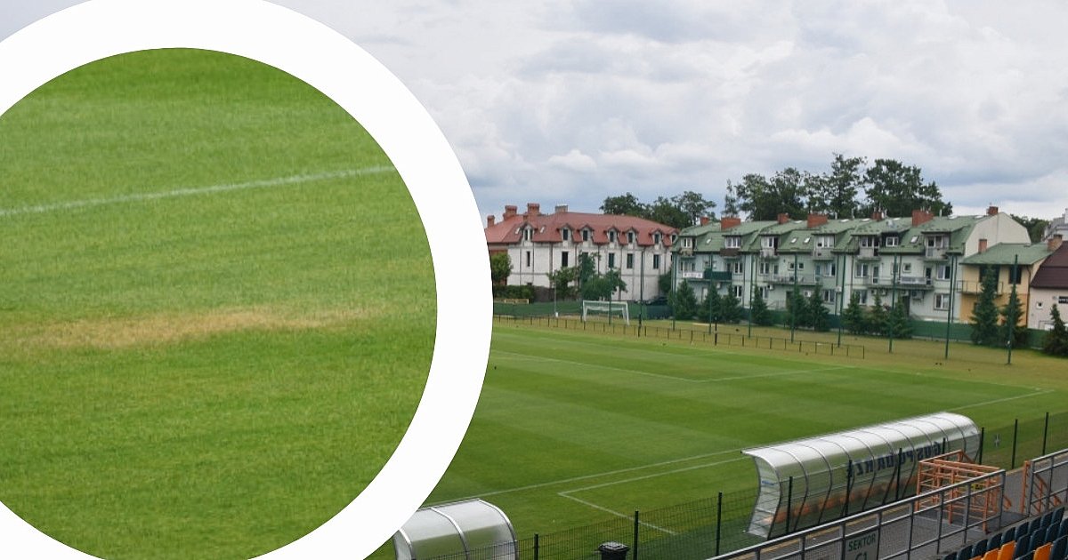 Żółte plamy na murawie na stadionie w Tarnobrzegu. Kibice alarmują, miasto reaguje [ZDJĘCIA]