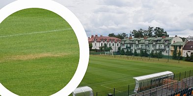 Żółte plamy na murawie na stadionie w Tarnobrzegu. Kibice alarmują, miasto reaguje-223932