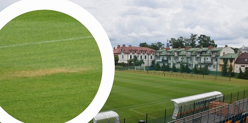 Żółte plamy na murawie na stadionie w Tarnobrzegu. Kibice alarmują, miasto reaguje - 223932