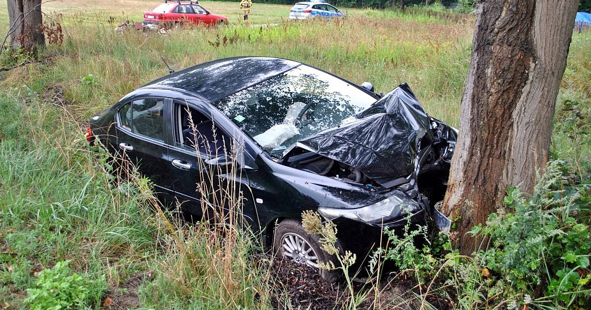 Na drodze Tarnobrzeg - Stalowa Wola honda uderzyła w drzewo