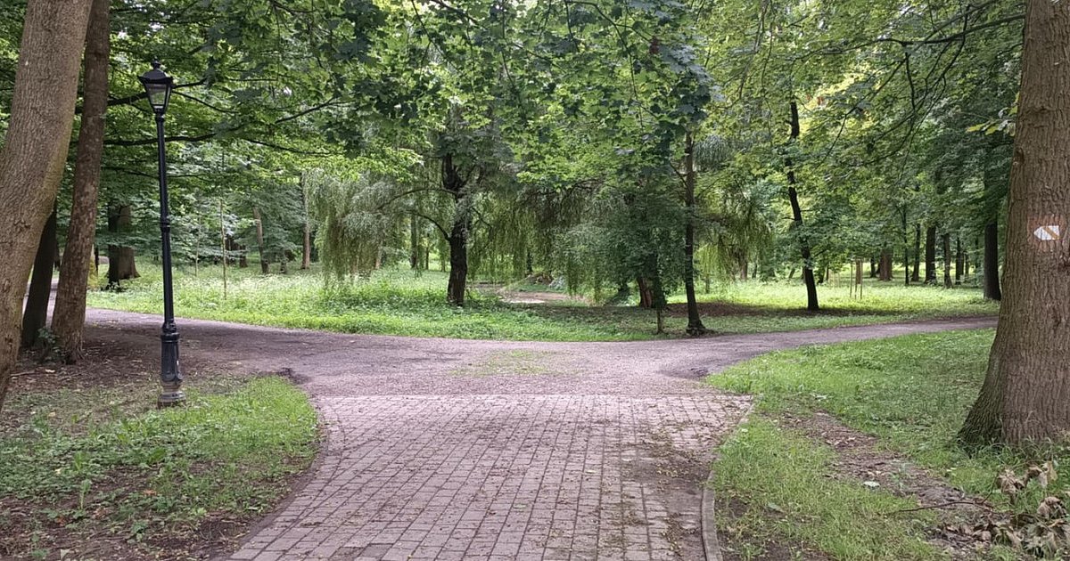 Jest apel o postawienie słupków w alejce do Parku Dzikowskiego w Tarnobrzegu. Dlaczego poprzednie zniknęły?