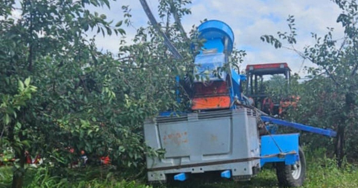 44-latek porażony prądem podczas zbioru wiśni. W ciężkim stanie trafił do szpitala [ZDJĘCIA]