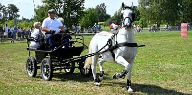 W Furmanach odbył się wielki zlot furmanek-224446