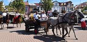 Święto Plonów w Tarnobrzegu [ZDJĘCIA]