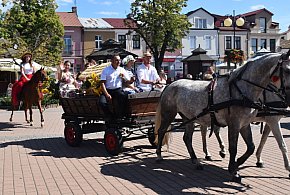 Święto Plonów w Tarnobrzegu. Dziękowano za tegoroczne zbiory [ZDJĘCIA]-224809