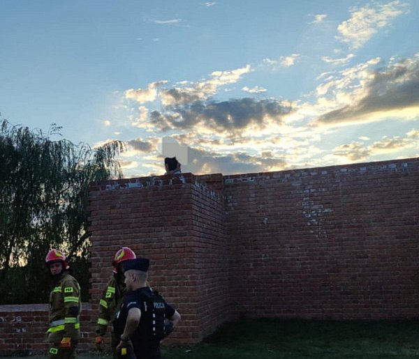 Turysta utknął na murze w Sandomierzu. Trzeba było użyć specjalistycznego sprzętu-224836