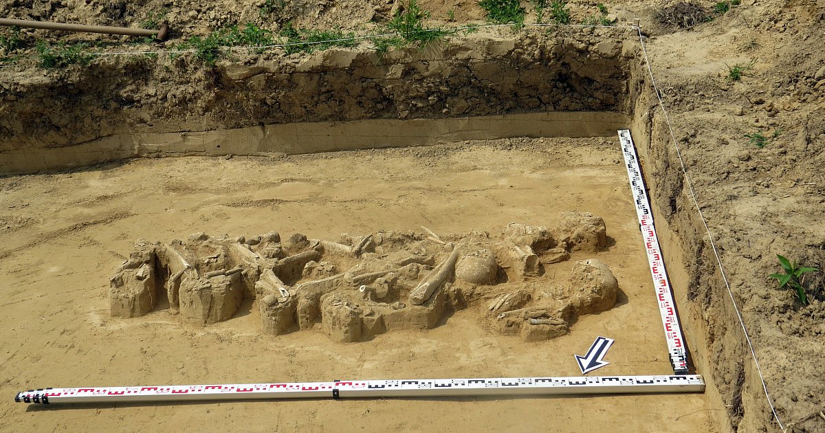 Tajemniczy grób zbiorowy sprzed tysięcy lat odkryty w Słupczy