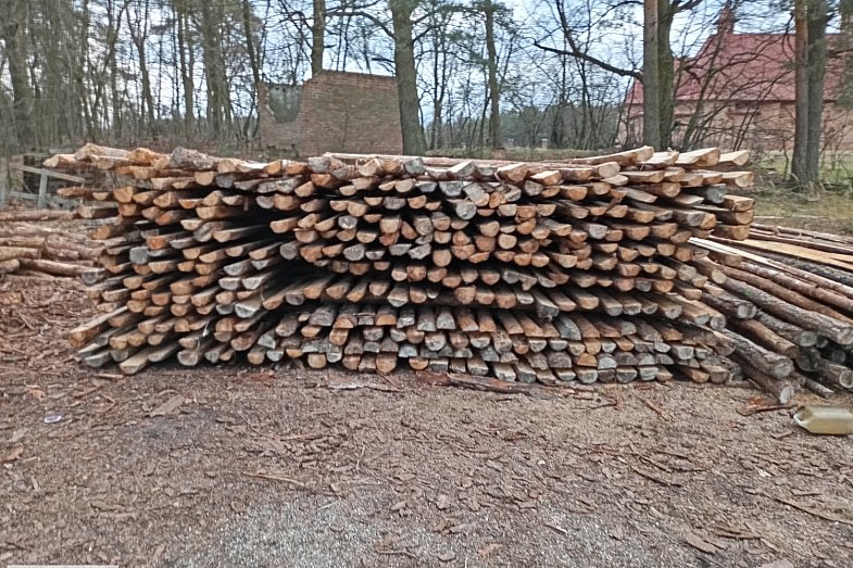 zdjecie ogloszenia