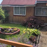 zdjecie ogloszenia
