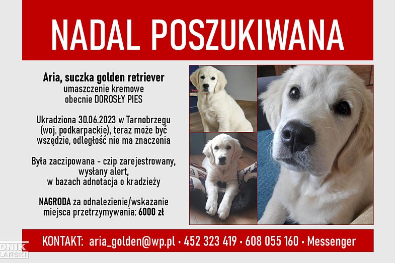 zdjecie ogloszenia