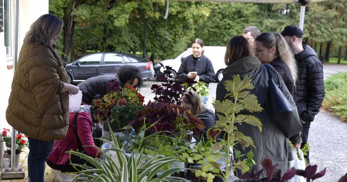 Wymień, adoptuj, podziel się wiedzą - Jesienna Kwiatowymiana w Tarnobrzegu