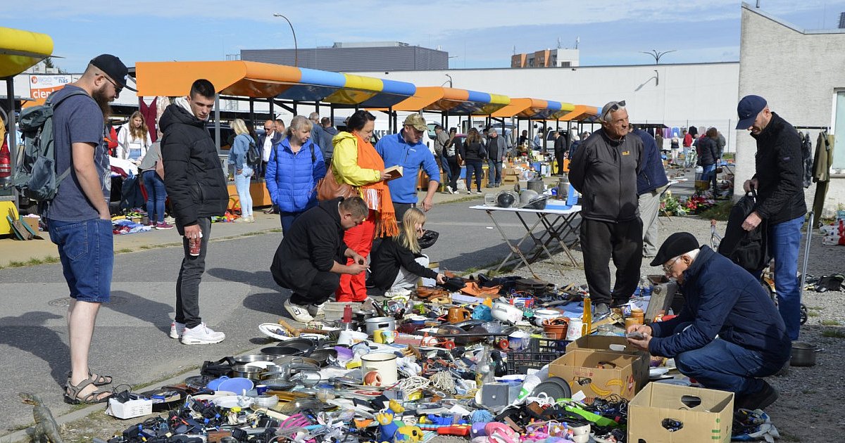 Wrześniowy Pchli Targ w Tarnobrzegu pełen skarbów i okazji [ZDJĘCIA]