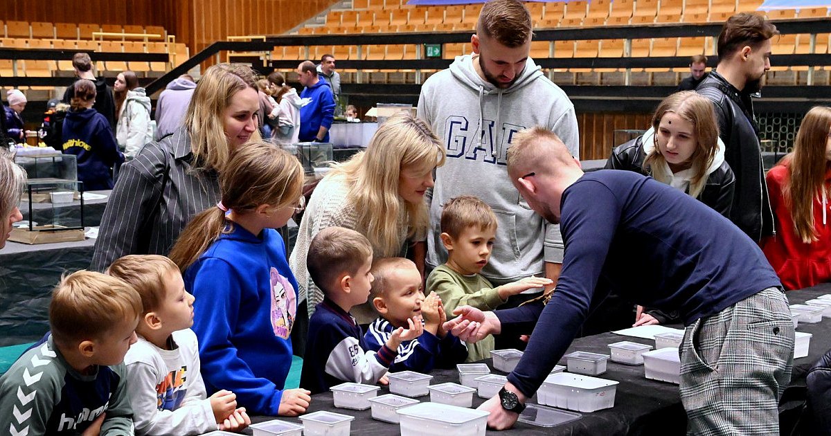Egzotyczne skorpiony, pająki, węże i jaszczurki w hali MOSiR  w Tarnobrzegu [ZDJĘCIA]