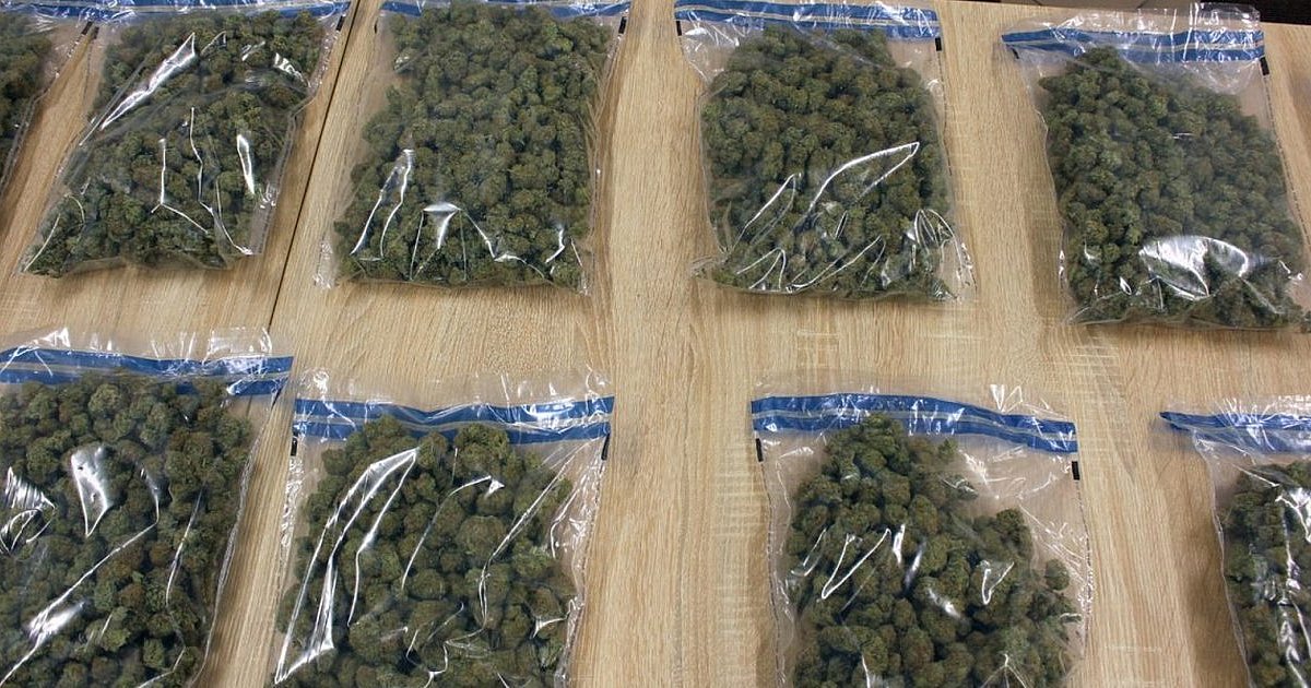Tarnobrzescy policjanci zatrzymali mężczyznę z dużą ilością narkotyków
