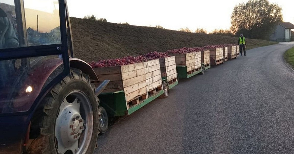 32-latka bez uprawnień ciągnęła traktorem cztery wózki z jabłkami