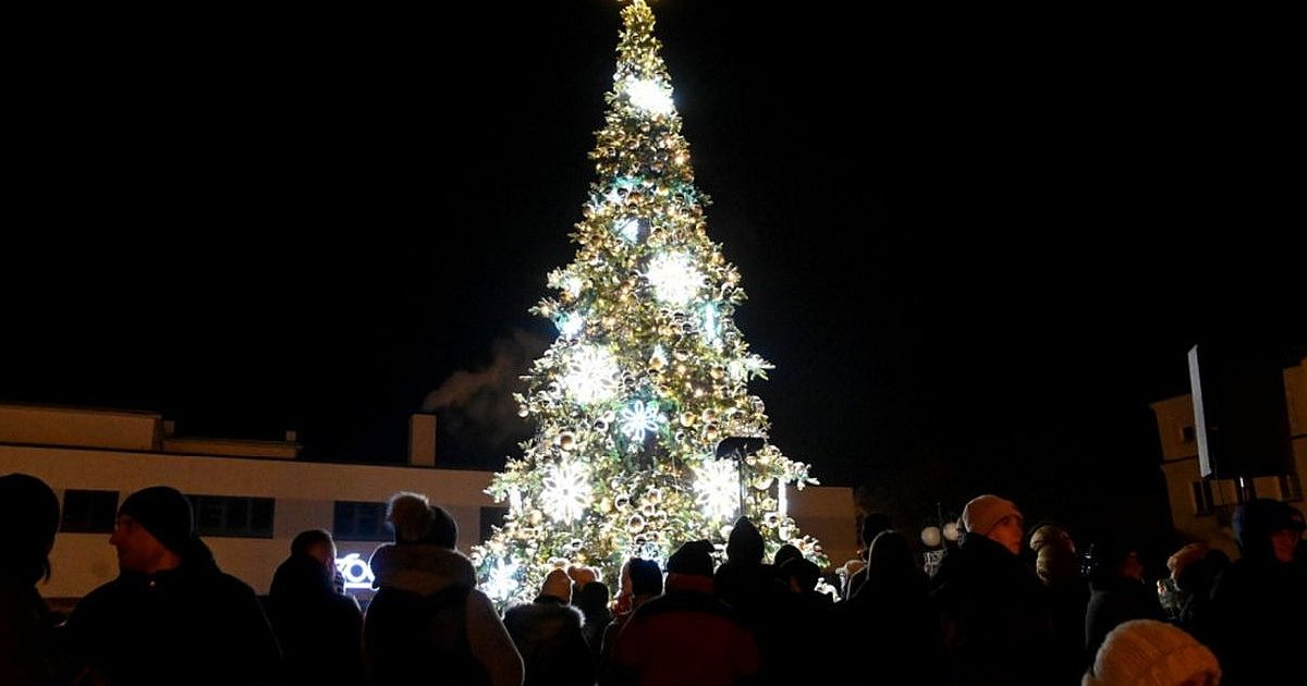 Świąteczna choinka znów na sesji Rady Miasta. Jak tym razem zagłosują tarnobrzescy radni?