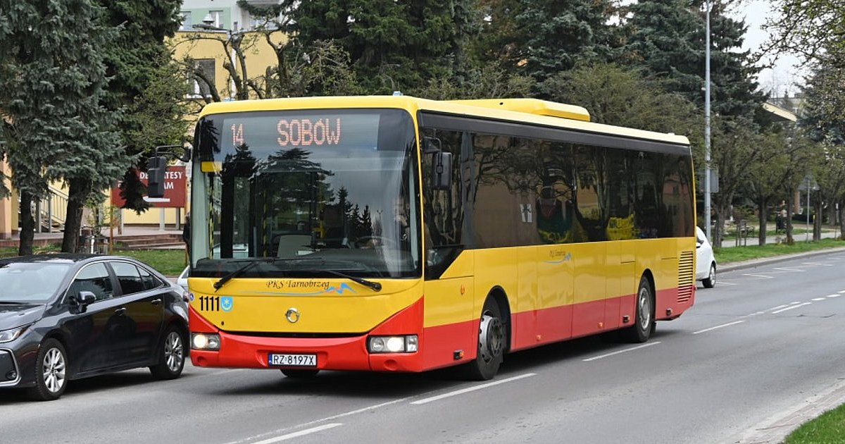 Komunikacja miejska w Tarnobrzegu na Wszystkich Świętych