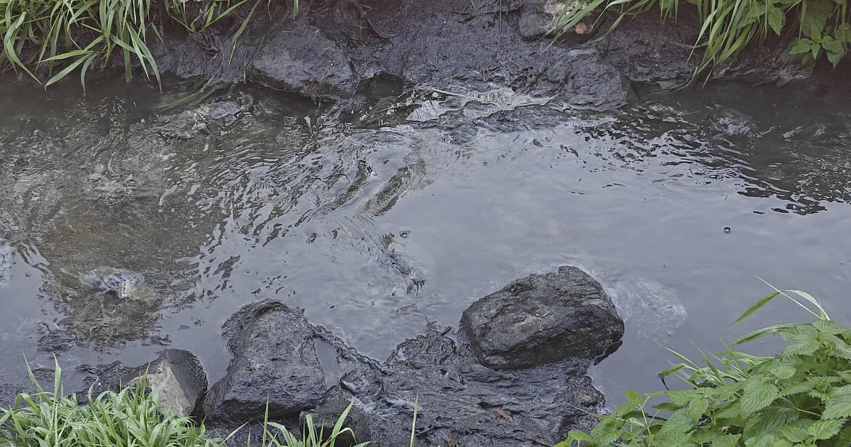 Czy to kolejne zanieczyszczenie Sanu? [ZDJĘCIA]