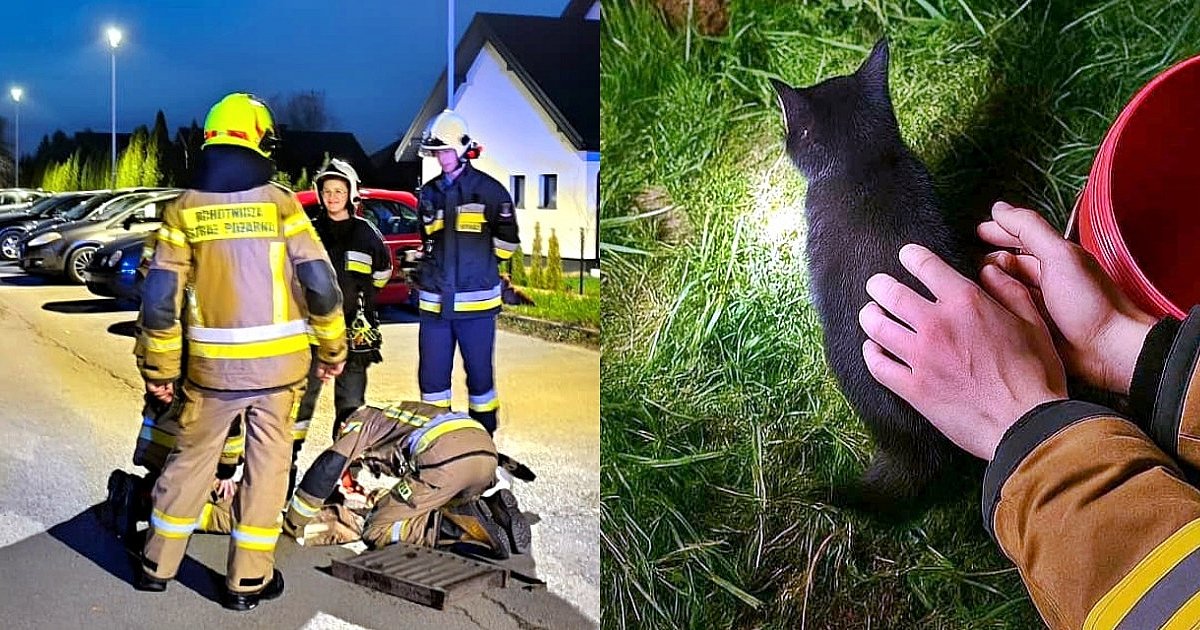 Wszyscy tu zasłużyli na medal! Dzięki dzieciom i strażakom z OSP Gorzyce kot odzyskał wolność [ZDJĘCIA]