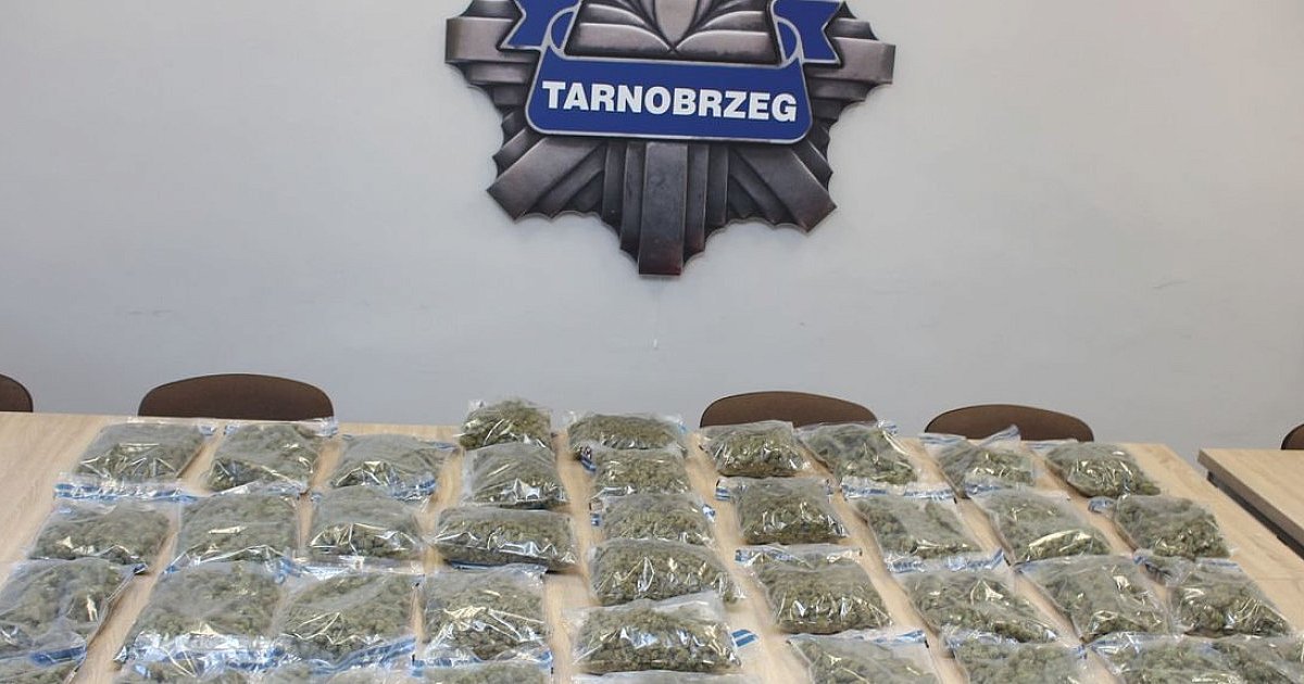 Policjanci z Tarnobrzega skonfiskowali narkotyki warte milion złotych