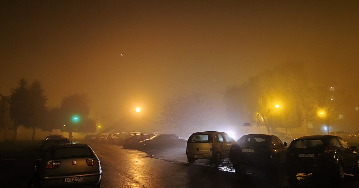 Trudna sytuacja na drogach. Gęste mgły w okolicy Tarnobrzega będą utrzymywać się do rana