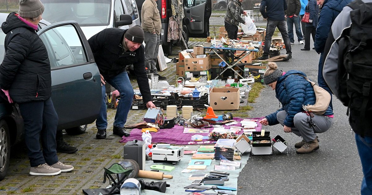 Ostatni w tym roku Pchli Targ w Tarnobrzegu w świątecznym klimacie. Mikołaje, śpiewające choinki i setki okazji [ZDJĘCIA]