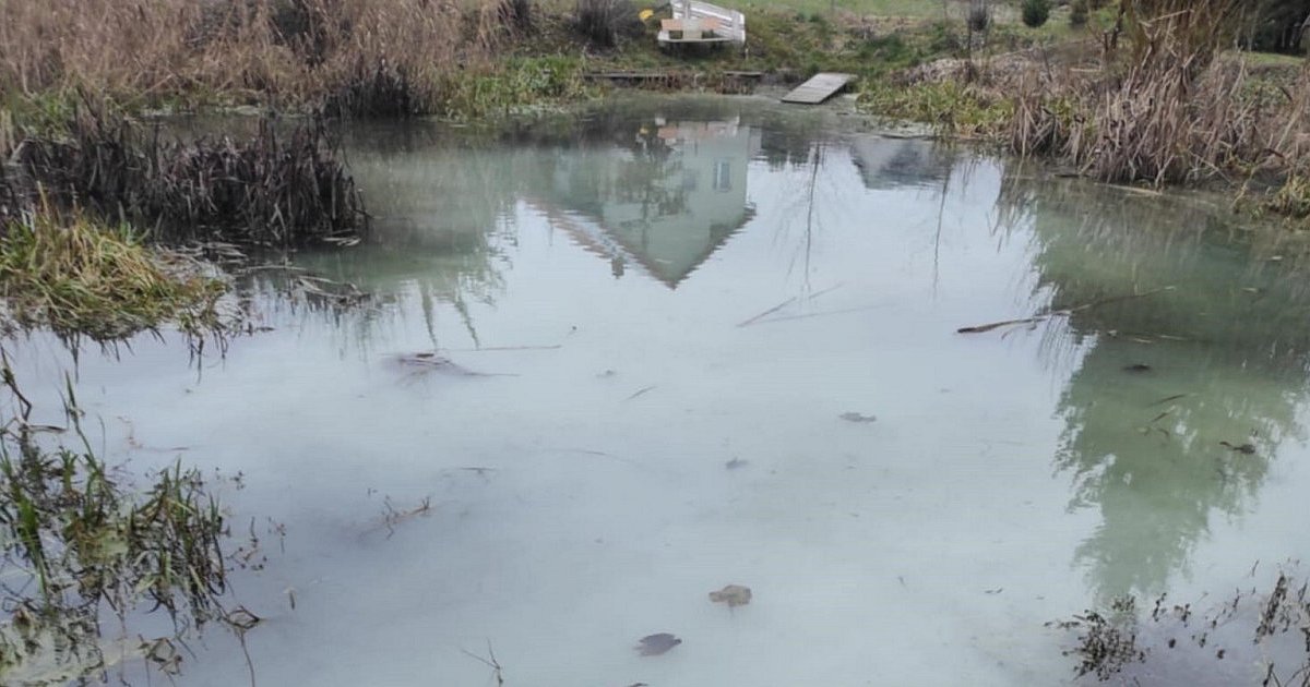 Rzeka i staw w gm. Samborzec zanieczyszczone nieznaną substacją [ZDJĘCIA]