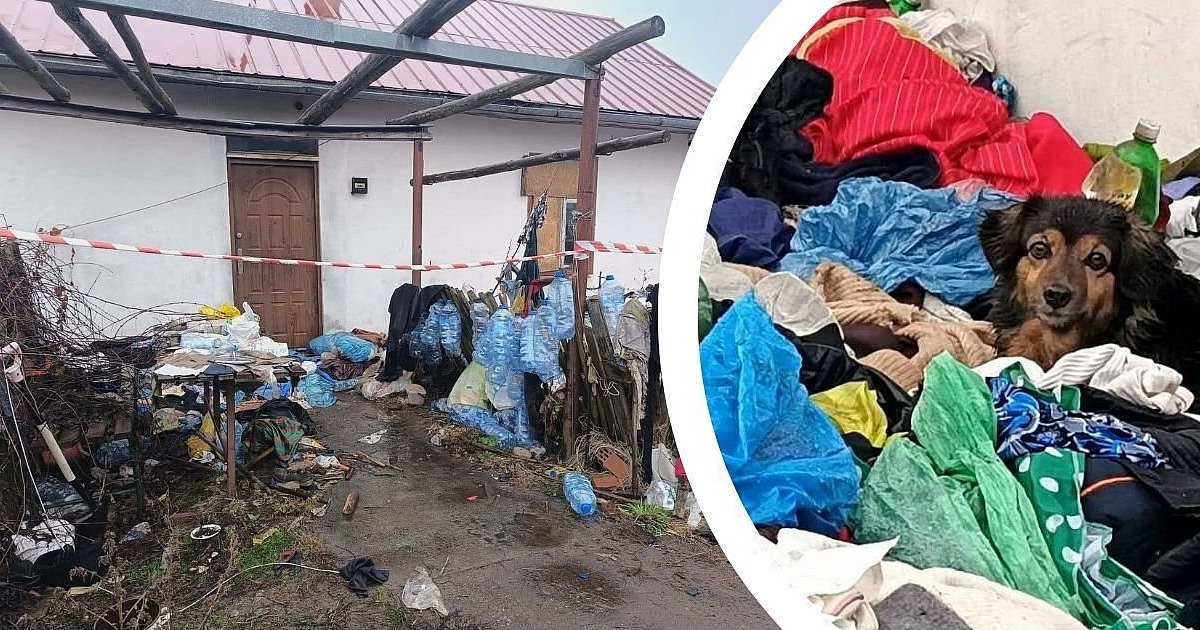 Burza w szklance wody czy sygnał alarmowy? Spór o psy z opuszczonej posesji w Nowej Dębie