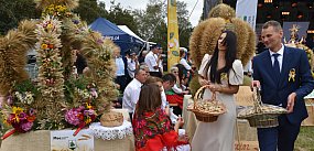 Dożynki powiatowe i piknik zbożowy w Sandomierzu