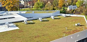 Pasaż Dominikański w Tarnobrzegu w zieleni