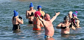 Mróz i wiatr nie odstraszyły morsów.