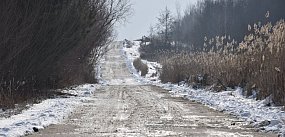 Tarnobrzeg z ponad 8 mln zł na drogę