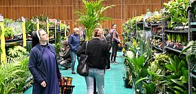 Hala MOSiR w Tarnobrzegu zamieniła się w "szklarnię"