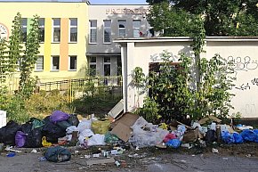 Śmietnisko przy przedszkolu w Tarnobrzegu-10281