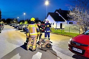 Strażacy z Gorzyc uratowali kota-10685