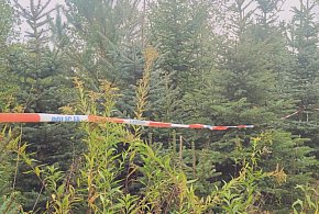Józef K. prawdopodobnie popełnił samobójstwo niedługo po zaatakowaniu żony-226202