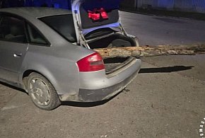 Kierowca audi miał ponad 4 promile. W bagażniku wiózł wielką kłodę drewna-226215